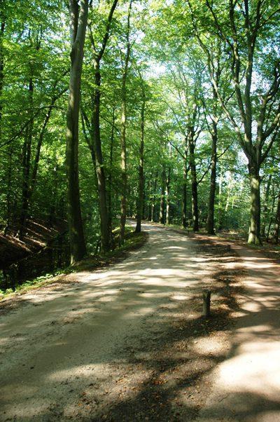 Twentekiek Villa Delden Kültér fotó